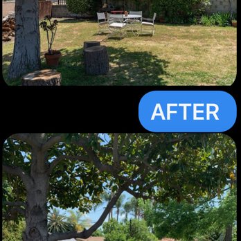 Elite Artificial Grass - Artificial Turf Near Me - Brea, California Elite Artificial Grass - Artificial Turf Near Me - Brea, California