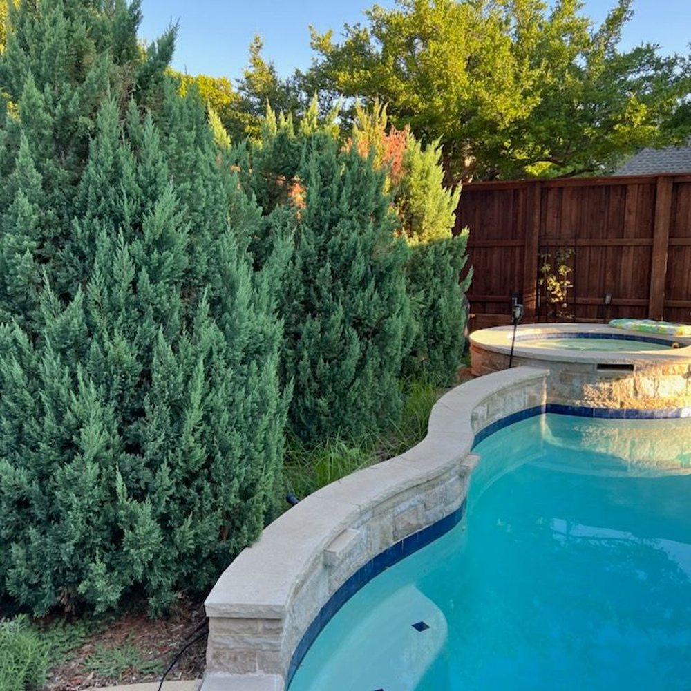 Precision Pavers - Before - General Contractors Near Me - Plano, Texas Precision Pavers - Before - General Contractors Near Me - Plano, Texas