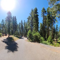 Crane Flat Campground