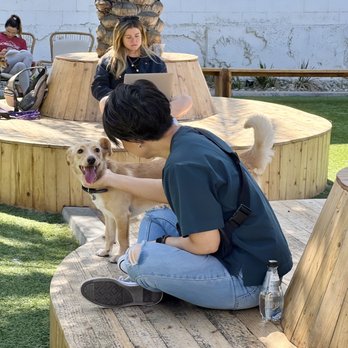 DOG PPL - Butters & his grandma @ DOGPPL - Dog Parks Near Me - Santa Monica, California DOG PPL - Butters & his grandma @ DOGPPL - Dog Parks Near Me - Santa Monica, California
