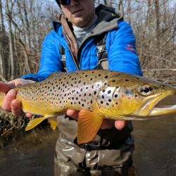 D-Loop Outfitters - Meet the locals