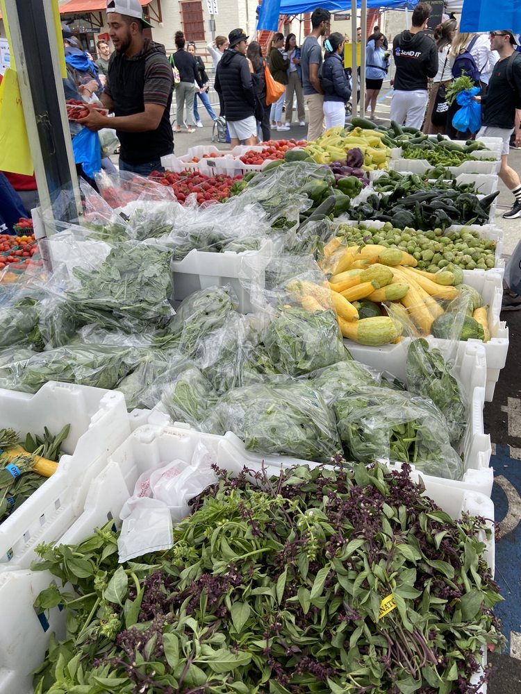 LEDESMA FAMILY FARMS Updated October 2024 Gustine, California