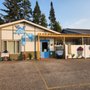 Photo of The Bleu Moose Bakery cafe
