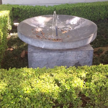 Tiny Boxwoods - Nice - New American Near Me - Houston, Texas
