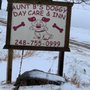 Photo of Aunt B's Doggy Day Care & Inn