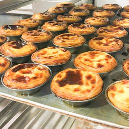 Freshly made Pasteis de Nata Freshly made Pasteis de Nata