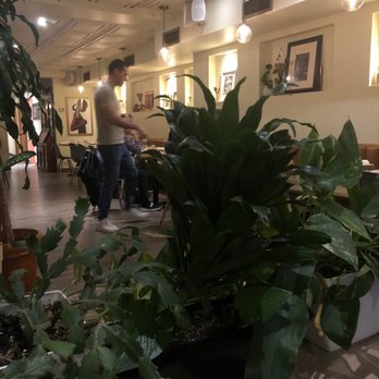 Palme - Cajun/Creole Near Me - Montreal, Quebec Palme - Cajun/Creole Near Me - Montreal, Quebec