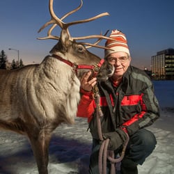 Star the Reindeer - Photo credit: http://www.alaskapublic.org/wp-content/uploads/2012/12/Star-and-albert-web.jpg