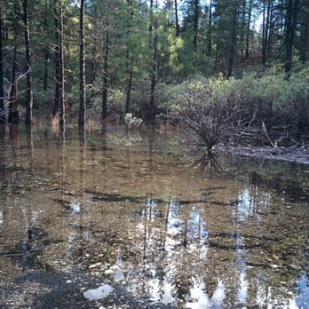 Malakoff Diggins State Historic Park - A lovely clear pool along the trail. - Parks Near Me - Nevada City, California Malakoff Diggins State Historic Park - A lovely clear pool along the trail. - Parks Near Me - Nevada City, California