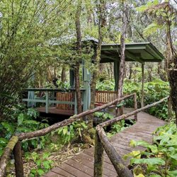 Volcano Mist Cottage - Private boardwalk is totally screened off by property's surrounding jungle. It leads to jacuzzi tub underneath "spa pavilion".