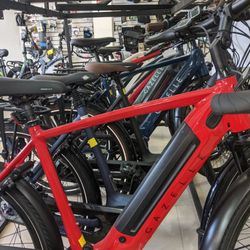 Hollywood Bicycle Shop - Gazelle ebikes