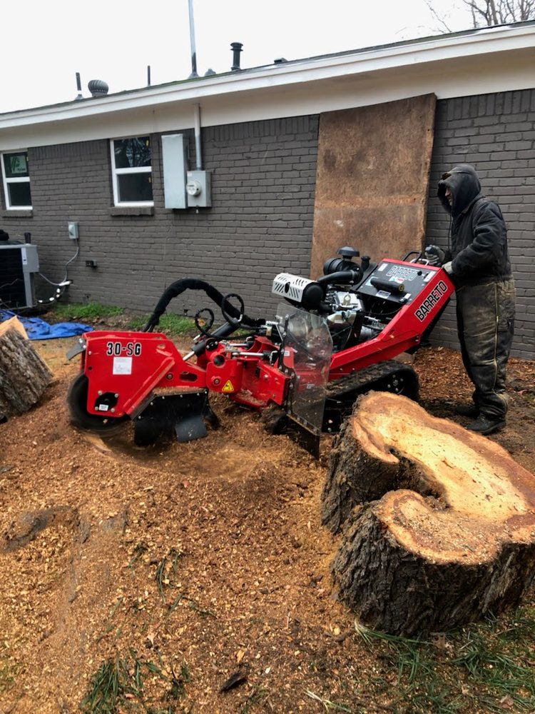 Brown's Tree Service - tree service in Haltom City, TX