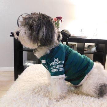American Pet Resort & Spa - Pet Groomers Near Me - Glendora, California