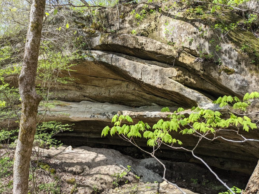 KRESS FARM GARDEN PRESERVE 12 Photos 5137 Glade Chapel Rd