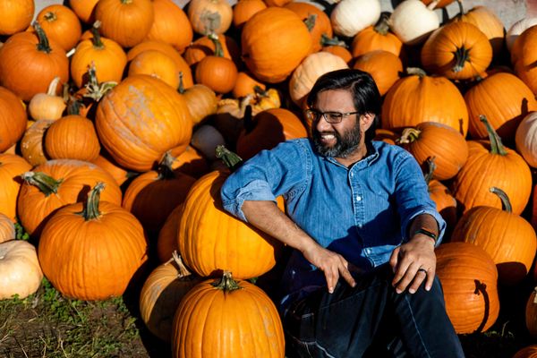 Bob's Corn & Pumpkin Farm by null