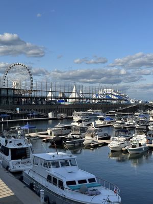 Vieux-Port de Montréal by null