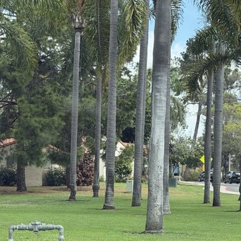 Balboa Park - Museums Near Me - San Diego, California Balboa Park - Museums Near Me - San Diego, California