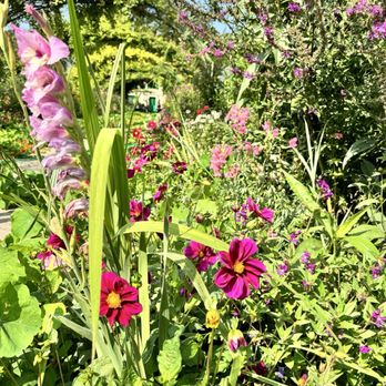 Jardins et Maison de Claude Monet - Mixed planting - Museums Near Me - Giverny, 27