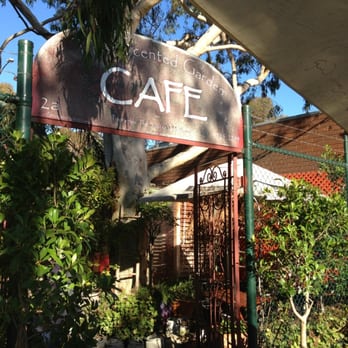 The Scented Garden Cafe - Outside of the cafe looking in - Restaurants Near Me - Croydon Hills, VIC The Scented Garden Cafe - Outside of the cafe looking in - Restaurants Near Me - Croydon Hills, VIC