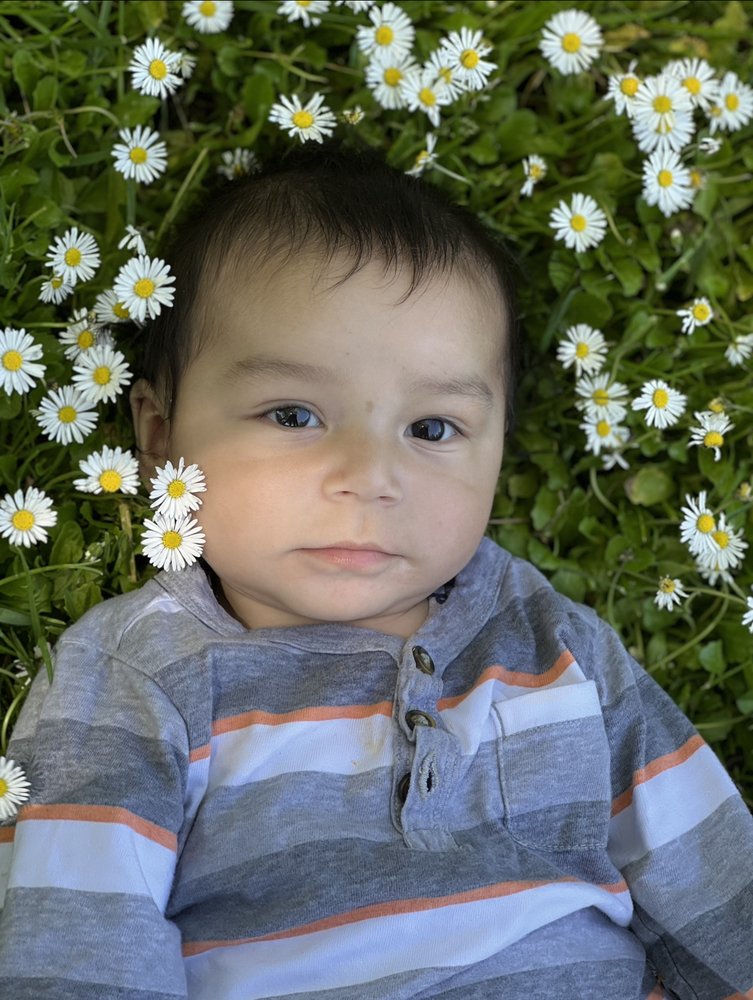 BLOOMING DAISIES DAY CARE Updated July 2024 1570 Ebener St, Redwood