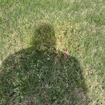 Kemko Lawn Service - a shadow of a person on the grass - Landscaping Near Me - Loganville, Georgia Kemko Lawn Service - a shadow of a person on the grass - Landscaping Near Me - Loganville, Georgia
