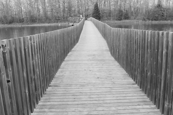 Island Lake Conservation Area by null