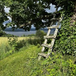 Cliff Haven Farm Bed and Breakfast - View from the private road.