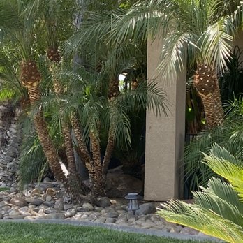 Menera Tree Service - Trimmed - Tree Services Near Me Menera Tree Service - Trimmed - Tree Services Near Me