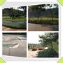 佐敦谷公園