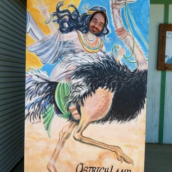 Ostrichland USA - A nice photo op to start - Attraction Farms Near Me - Solvang, California Ostrichland USA - A nice photo op to start - Attraction Farms Near Me - Solvang, California