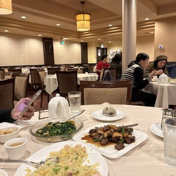 Lei Garden - Dim Sum Near Me - Cupertino, California Lei Garden - Dim Sum Near Me - Cupertino, California