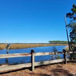 Ochlockonee River State Park - The river