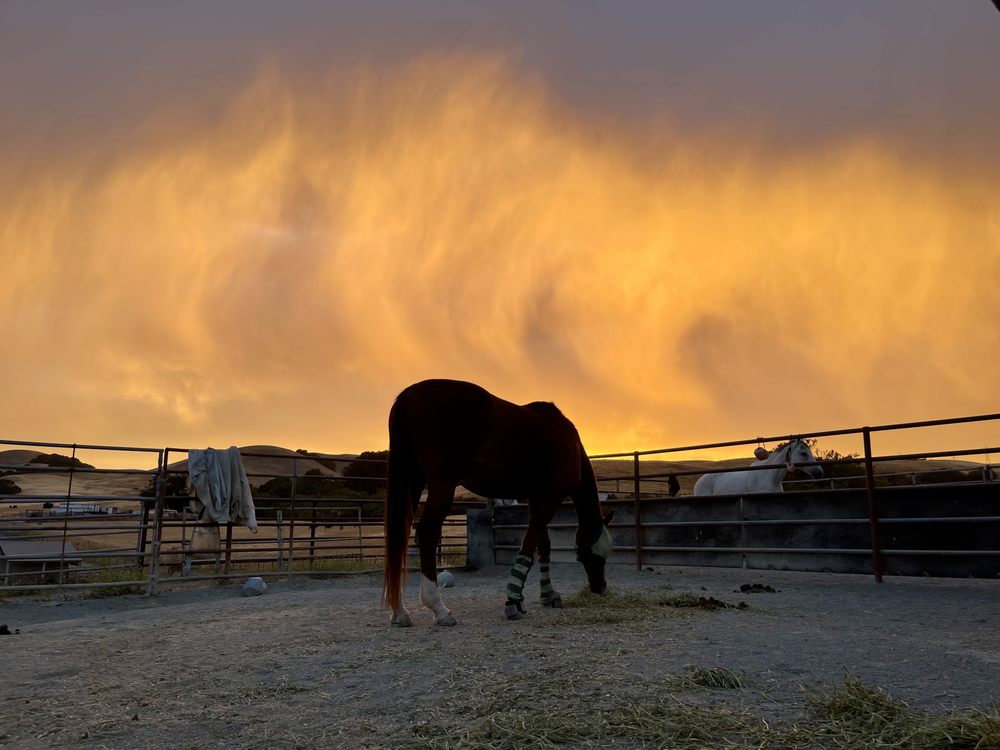 ARRIBA VISTA RANCH Updated September 2024 35 Photos & 21 Reviews