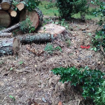 McDaniel Tree Services - Tree Services Near Me - Morris, Alabama McDaniel Tree Services - Tree Services Near Me - Morris, Alabama