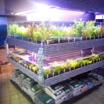 Strijker Aquarium - Pet Stores Near Me - Rotterdam, ZH