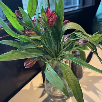 Pellana Prime Steakhouse - Flowers - Steakhouses Near Me - Peabody, Massachusetts