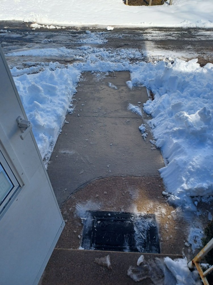 Best Buds - tree service in Madison, WI