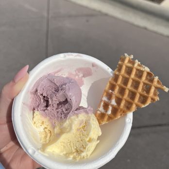 Jeni's Splendid Ice Creams - Over $6 for this. - Ice Cream & Frozen Yogurt Near Me - Charlotte, North Carolina