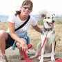 Photo of FabDogz