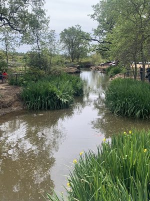 Amador Flower Farm by null