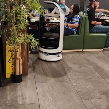 Sumo Sushi & Grill - The cat robot that brings you your food and sang happy birthday to our son! - Japanese Near Me - Tacoma, Washington Sumo Sushi & Grill - The cat robot that brings you your food and sang happy birthday to our son! - Japanese Near Me - Tacoma, Washington