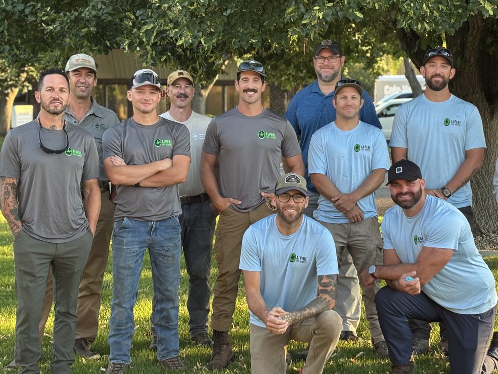 Alpine Tree Service - tree service in Boise, ID