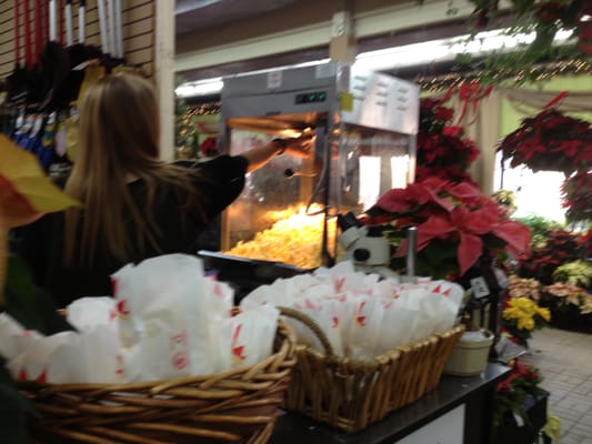 Merrifield Garden Center by null