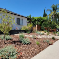 Pristine Gardenscape - Drought tolerant front yard in Encino. We are proud to be The San Fernando Valley's Trusted Landscape Contractor!
