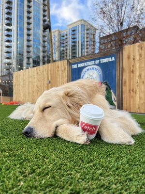 Fetch Park Buckhead by null