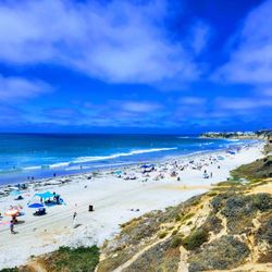 Palisades Park - Palisades Park