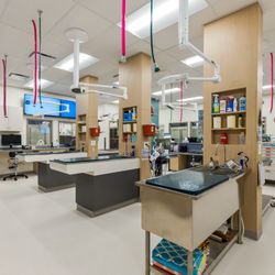 Premier Veterinary Group - Mundelein