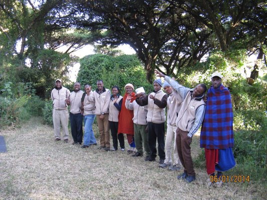 Thomson Safaris by null