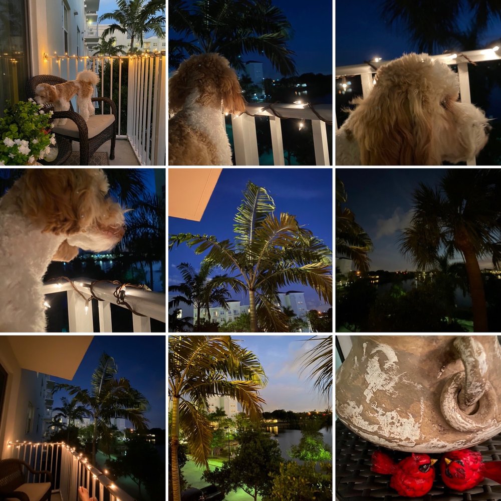 Portico - View from my balcony with my Bentley! - Apartments Near Me - Sunrise, Florida Portico - View from my balcony with my Bentley! - Apartments Near Me - Sunrise, Florida