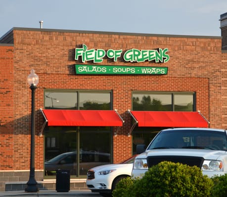 Field of Greens by null